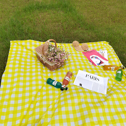 塑料加厚一次性野餐垫户外防水儿童春游郊游桌布台布ins露营用品