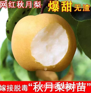 ɳ����烞���޽� ͥԺ���� �S���������ɽ�X�����ϱ����Nֲ����