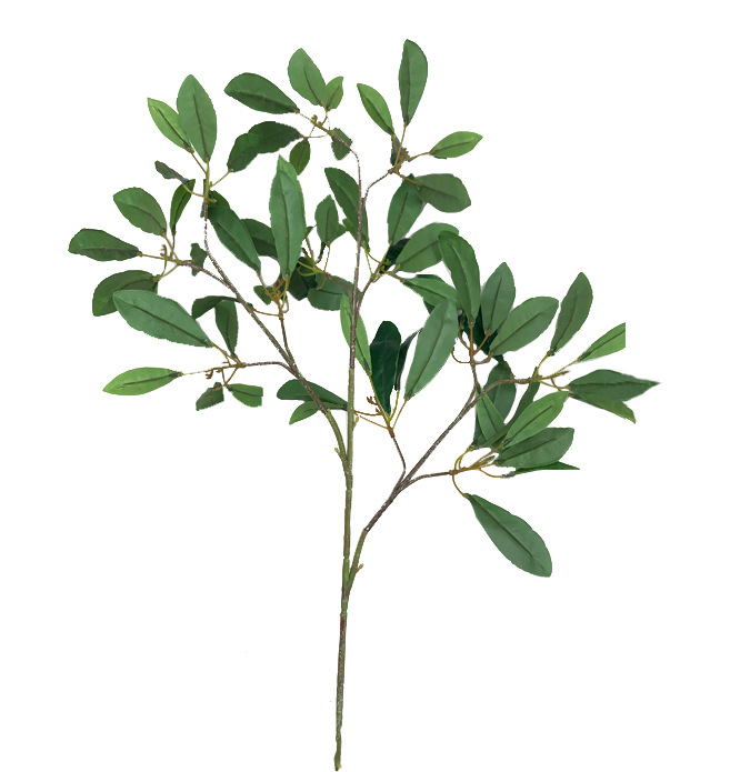 XRB-263 杨梅叶3叉枝 (4).jpg