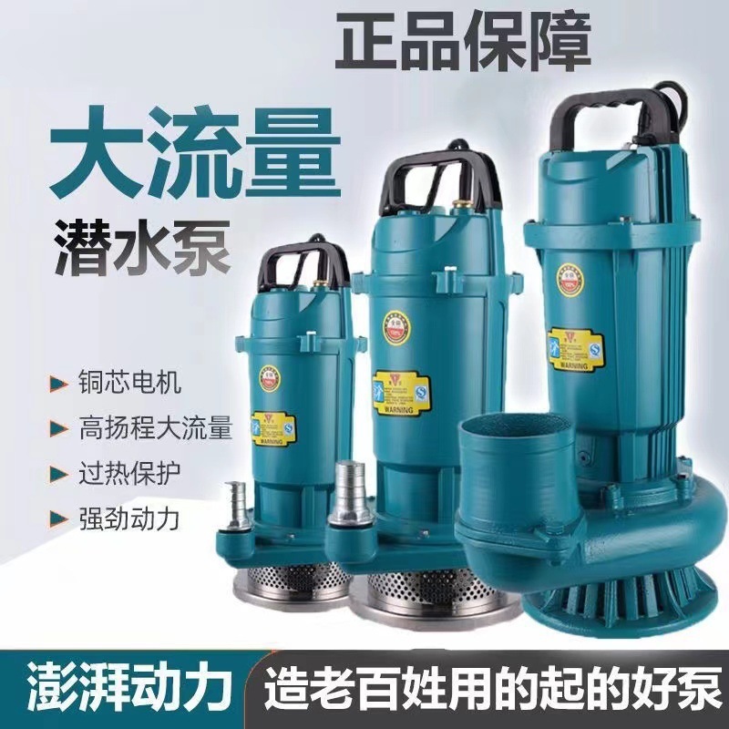 Shanghai auténtica bomba sumergible 220V bomba de agua de gran calibre 3 pulgadas 4 pulgadas sin escobillas de alto flujo de elevación bomba de agua
