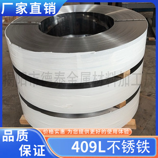 �ޕr�؃r ���P�F 409L �_������  ܛ�B���� �_ƽ�� ��Ĥ�ǘ˳ߴ�
