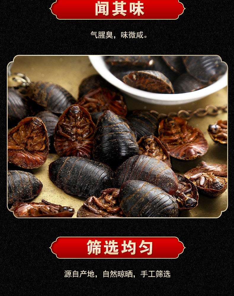 Dried Ground Beetle Tu Yuan 土鳖虫 Whole Insect TCM Herb 500g Selected Large Size specifications