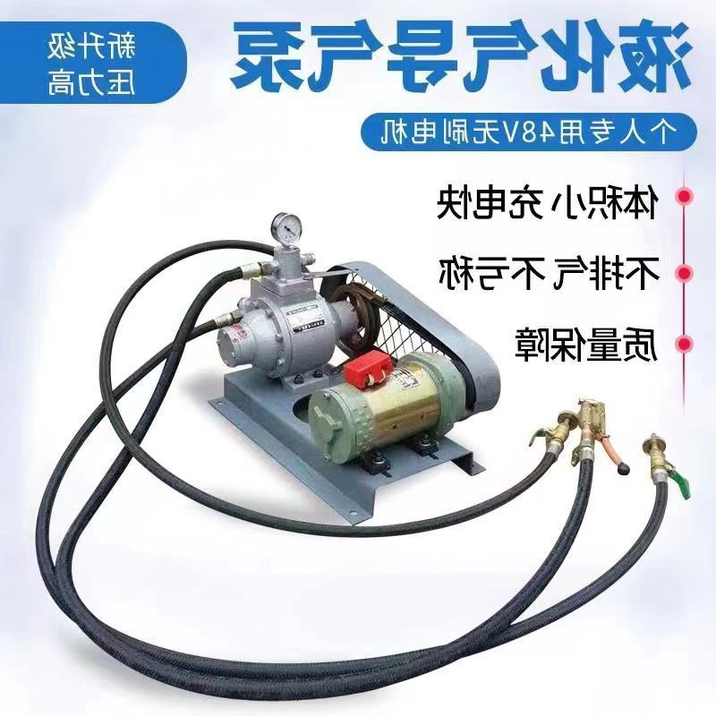 家用液化气泵导气泵车载倒气泵充气泵煤气高压泵丙烷泵