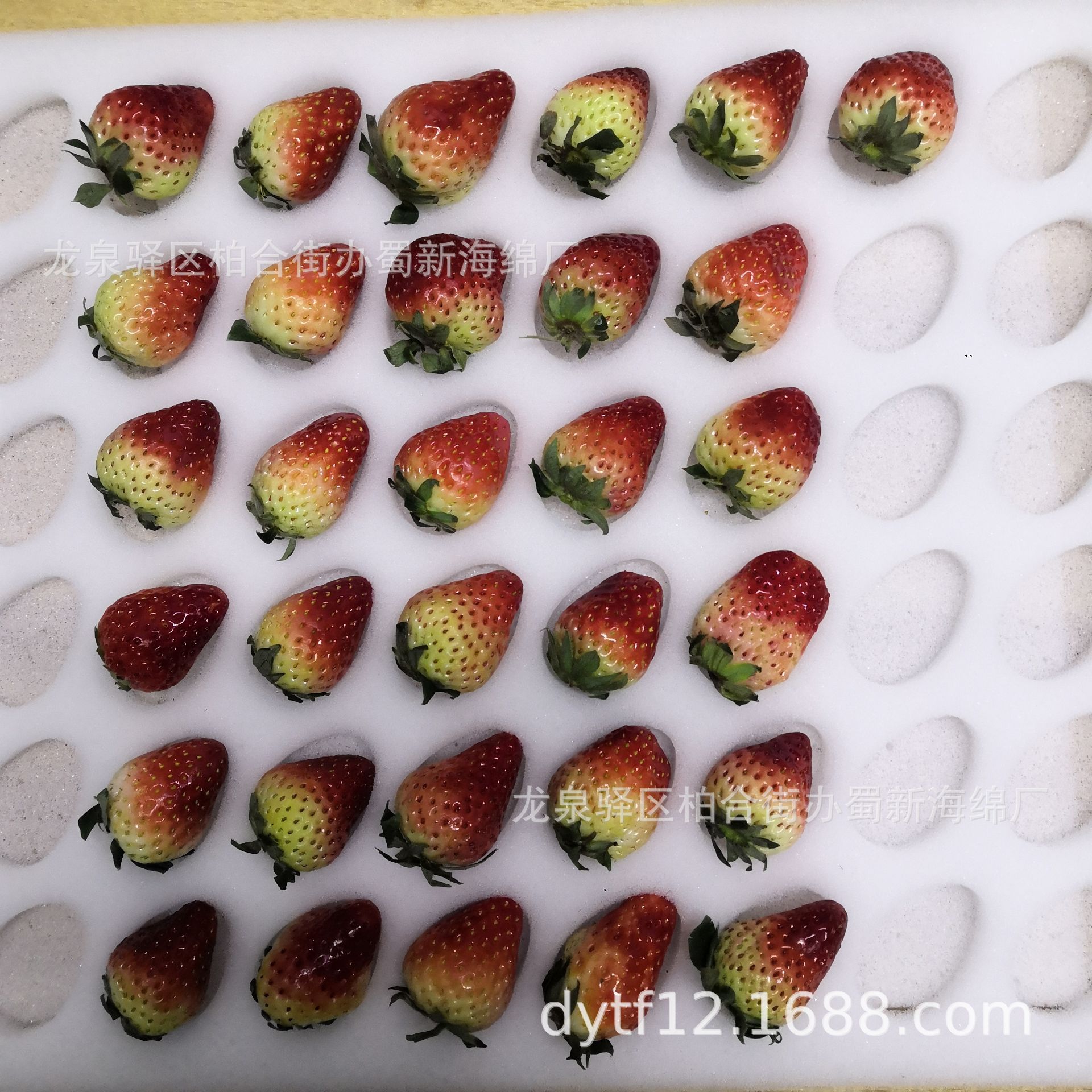 草莓海绵包装/周转草莓海绵包装/防震草莓海绵包装/缓冲草莓海绵