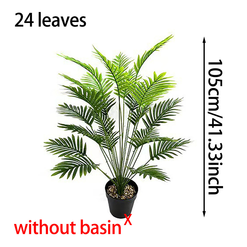 24 cabezas - L - girasol de cola dispersa