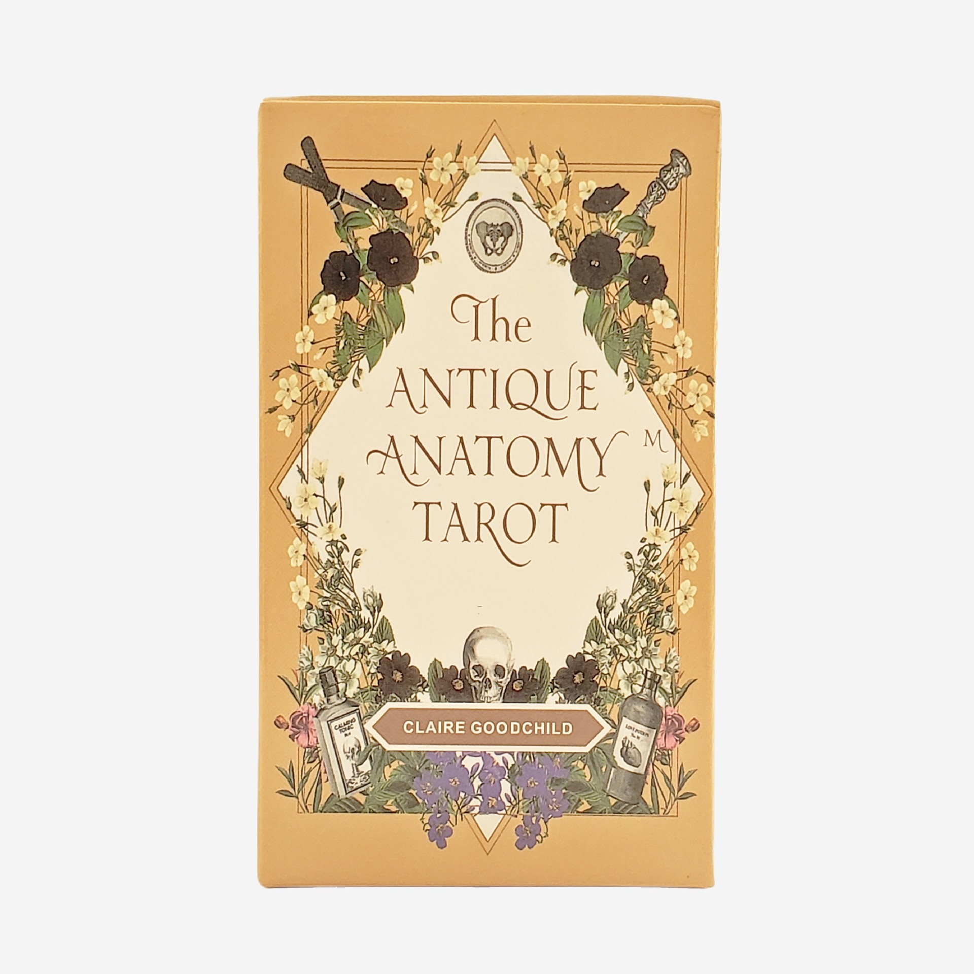 The Antique Anatomy Tarot Deck - Classic Divination Party Game_voghion.com