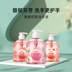Fruity Antibacterial Hand Sanitizer Oem 500ml Affordable Fruity Antibacterial Bubble Hand Sanitizer Manufacturer