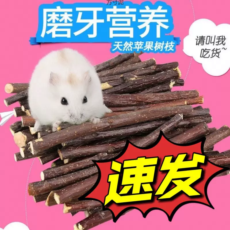 仓鼠磨牙棒果枝磨牙棒枝豚鼠荷兰猪龙猫兔子磨牙木棒零食一件批发