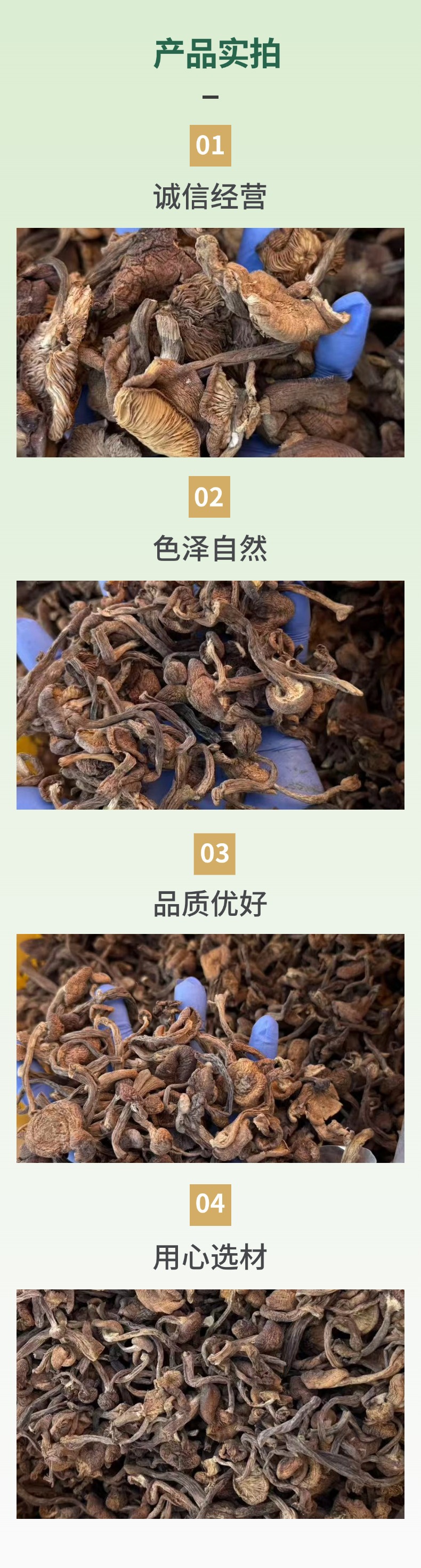 Dried Hazel Mushroom Slices Northeast China Zhen Mo 500g Wild Forest Mushroom for Soup and Stew specifications