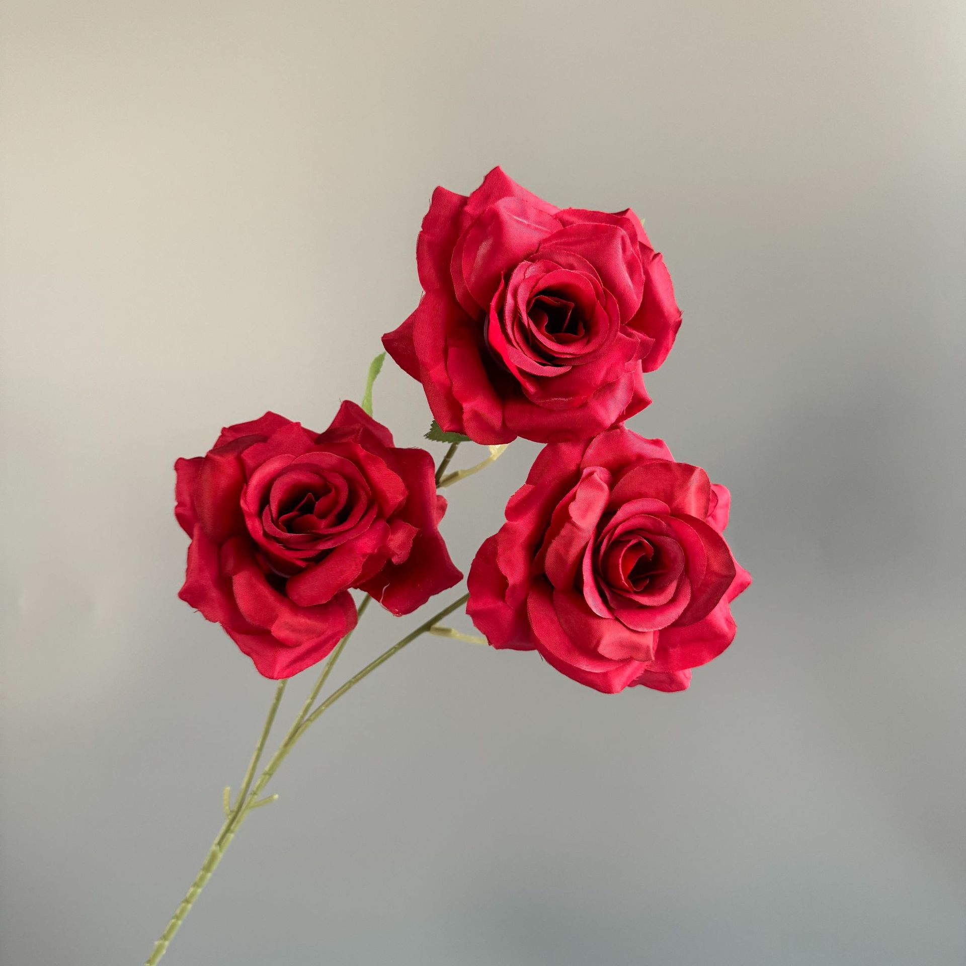 빨간색(잎 없음)