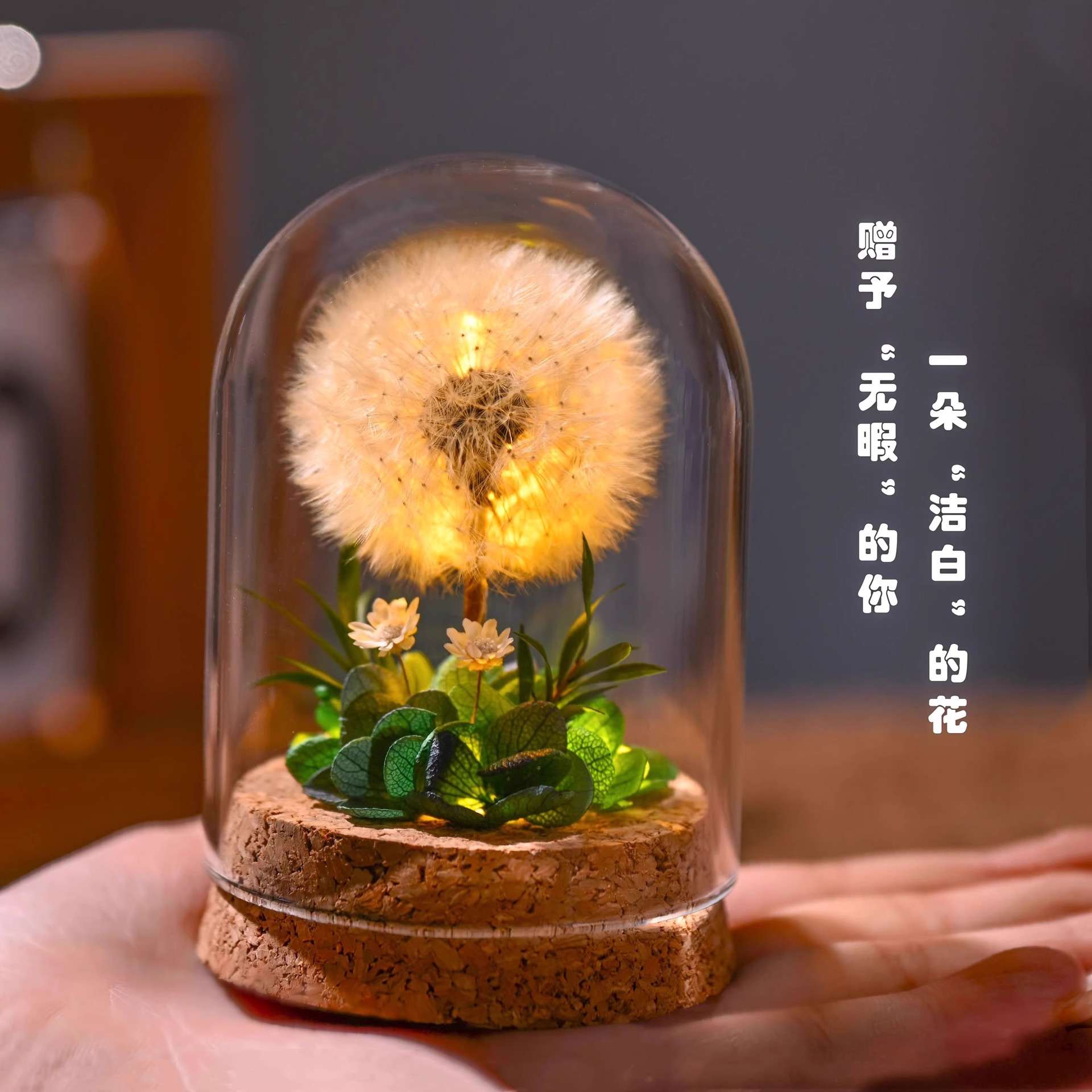 Flower Xu Nightlight Dandelion Immortal Dried Flowers Glass Cover Birthday Gift for Classmates Girlfriend Valentine's Day Mother