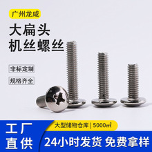 镀镍TM十字大扁头机丝螺丝大扁机圆头伞头小螺丝M3-M8厂家批发