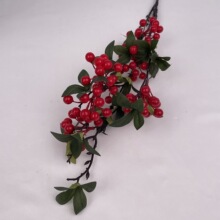 �t���lؔ�����滨��c������������������֦��������������l����