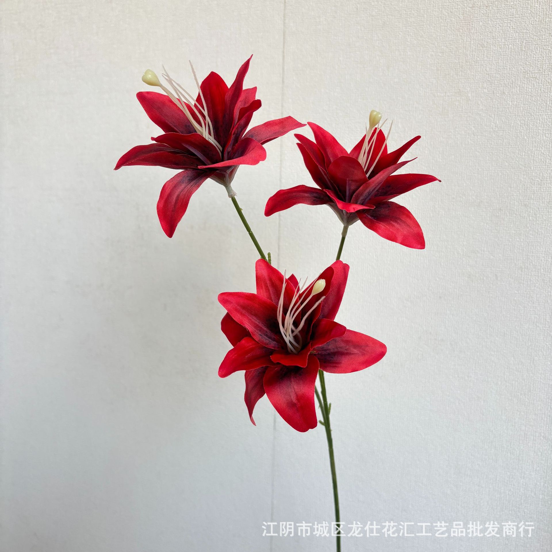 이중 꽃잎 백합