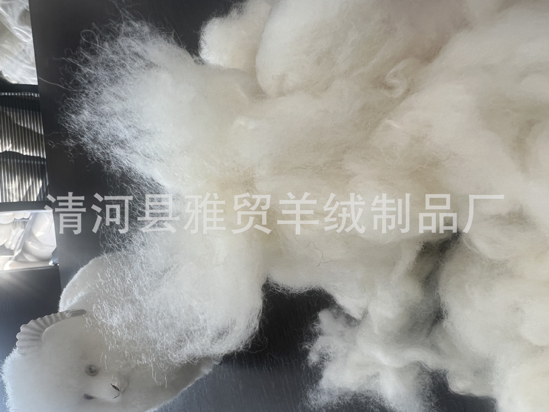 微信图片_20240927154643