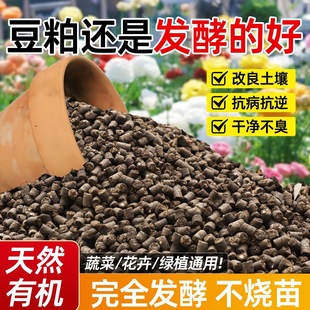 �S��ֱ�N���l���|����߲˻��܌��÷ʰl���ͷ��ϠI�B�����ʽ��|