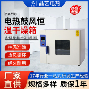 Electric Blast Constant Temperature Drying Box Headlight Laboratory High Temperature Small Industrial Dryer Hot Air Heating Oven