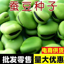 �Q���N�Ӹ߮a�ش��Q���߲˷N�Ѵ�ȫ�̨�����ļ��Nֲ�����N��