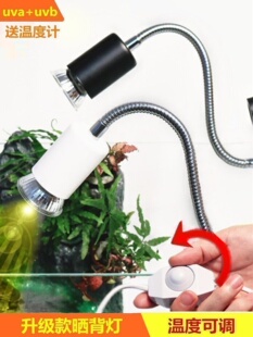 Tortoise Sun Backlight Tortoise uva Turtle Products Pet Warm Insulation Fish Tank Heating Lamp Sun Shines Back Calcium Supplementation