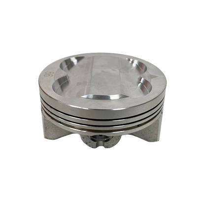 Enlarged Size 66mm, Piston, piston ring, piston pin