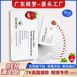 其他口腔护理;牙贴;牙粉