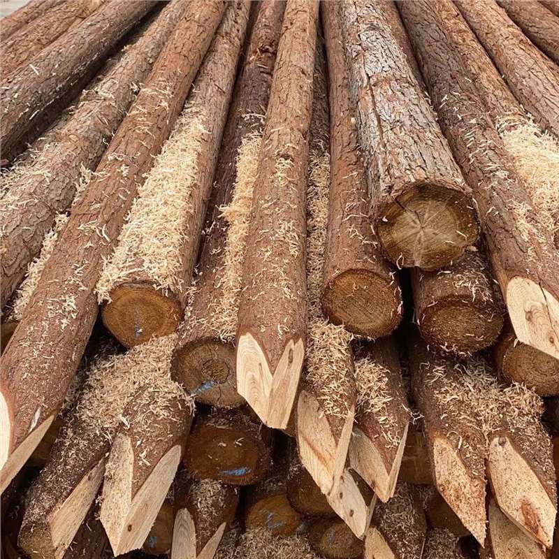 广东河源河道打桩木杉木桩松木桩河道护坡木桩工程防汛围堰打桩柳