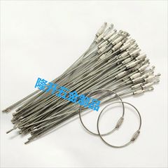 304ステンレスのワイヤーキーリングを供給しています。荷物ラベルをロックして、多機能のストラップを掛けます。
