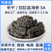 大连半干拉缸盐海参批发500g非干货即食海参可商用食用可一件代发