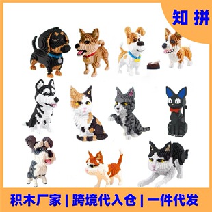 �羳����eľ����؈�͵�΢�w������ƴ�b�eľ����������Q�ɴ���}