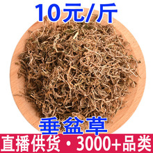 ����� ʯָ�� ��ײ� �a��һ��؛Դ ����ă�