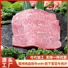 ����ԭ�м�Ѫ��ţm9+������������ţ��ţ�ߗlţ������M9+ţ���