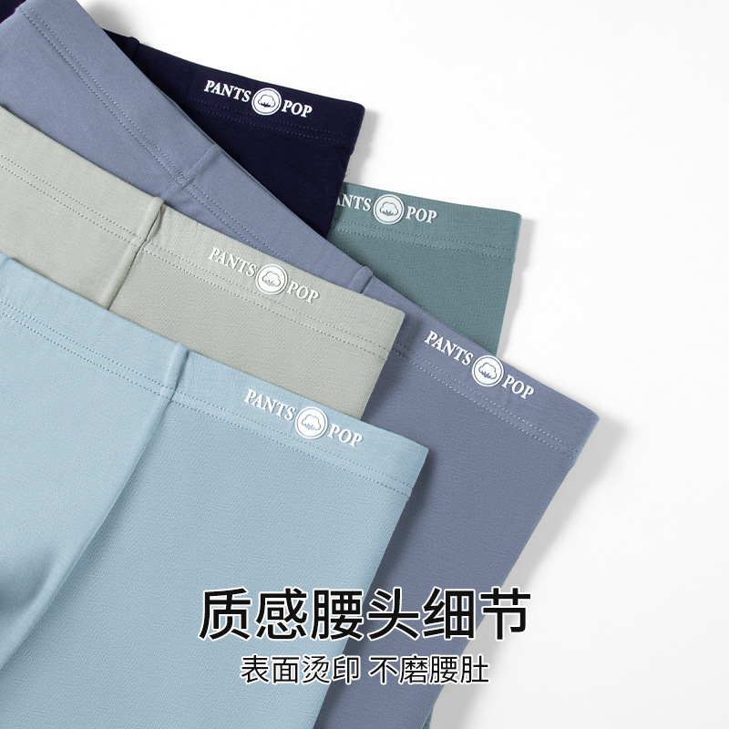 Pantalones interiores de hombre de negocios de algodón de color sólido de algodón de clase A, pantalones cortos antibacterianos de cintura media transpirables de hombre