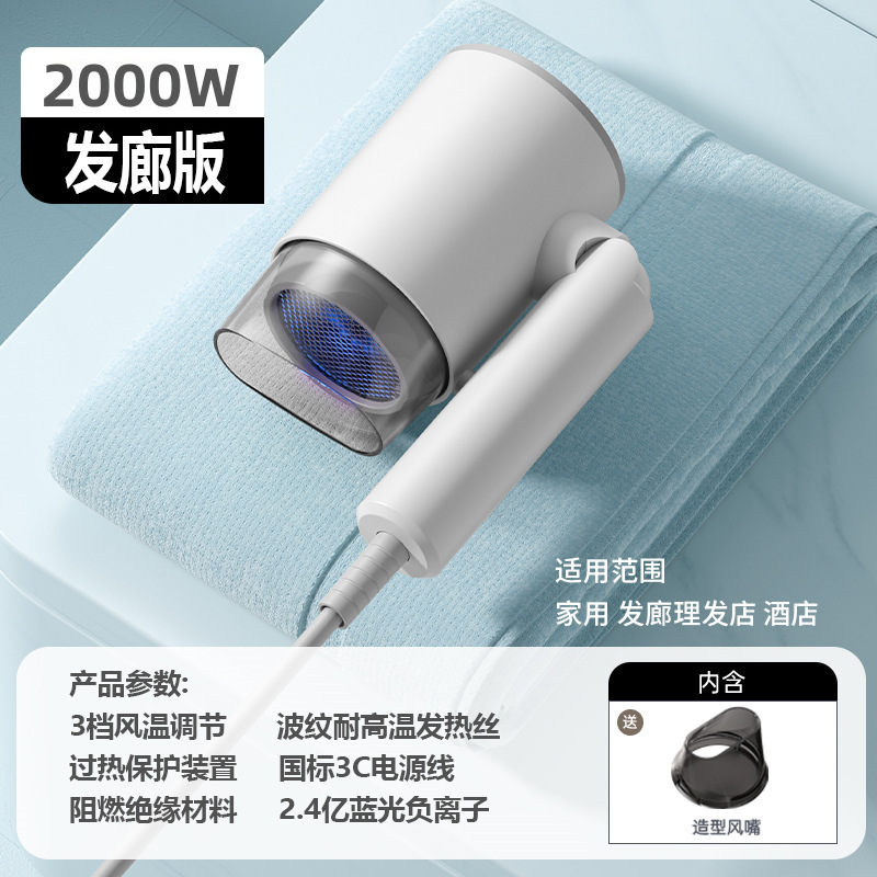 화이트 2000W - 집중 노즐 포함