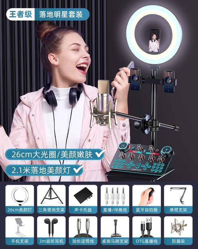 人気v20生放送設備全セットのコンピュータサウンドカードで歌う携帯電話専用録音マイクk歌マイク|undefined