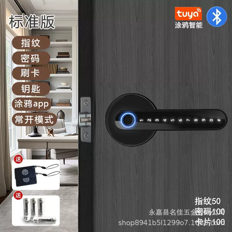 室内木门指纹锁跨境远程开锁涂鸦蓝牙二房东出租屋替换智能锁