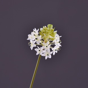 ���沮���a֮�Ǿ��l��ˇ�OӋ�ߙn���滨���l�������Z�q�b�ȸ÷