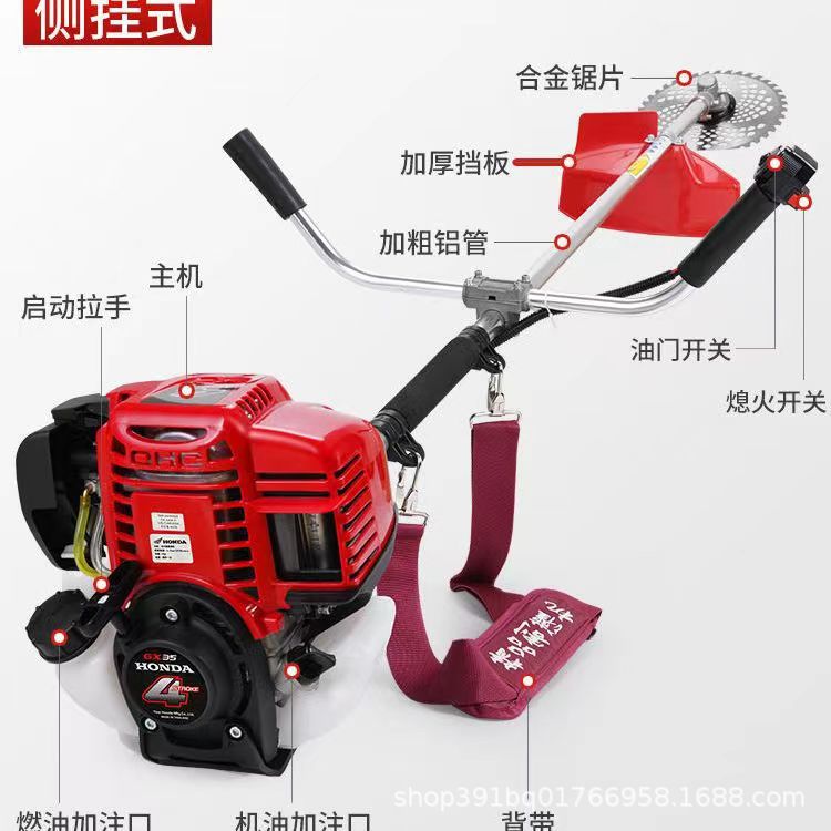 微信图片_20230803205917