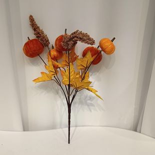 �羳���R�d�S�չ��f�}�������T̨���Ϲϸж����b�����~�Ϲ�֦