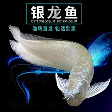 �y���~���w�����͟Ꭷ�^�p�~�Lˮ�lؔ�~���~������~�y���~