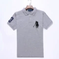Malaysian gray