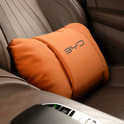 Headrest – Byd Neck Pillow and - butterfly-style-hermes-orange-byd-lumbar-support-single-pack