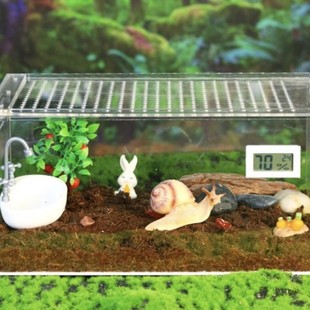 �S�Ұ��]һ�����l�Ӻ�͸��������΁ţ֩��ľ�з���������x��B��