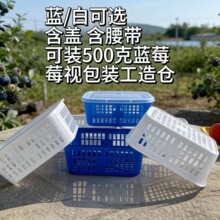 500g�L�����{ݮ�д�����ˮ�����b��͸�����ϺЎ��w�Ӻ����lʳƷ��