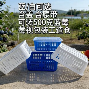 500g�L�����{ݮ�д�����ˮ�����b��͸�����ϺЎ��w�Ӻ����lʳƷ��