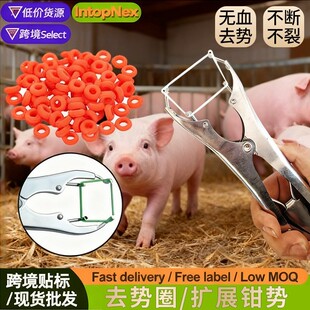 �S�ҬF؛��β�U���Q�oѪȥ���Q�iţ���βȥ�݃��Ï���Ȧ���_�Q