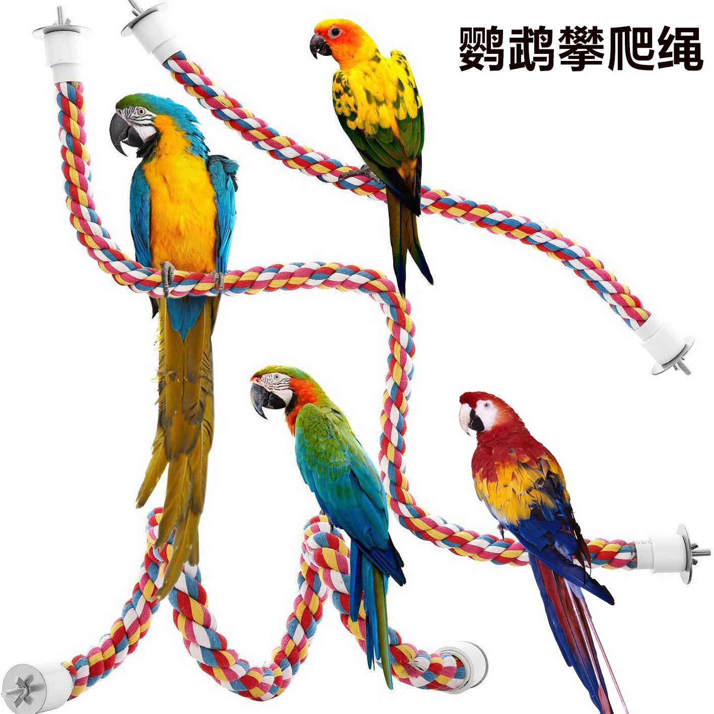 Transfronterizo popular loro cuerda de escalada cuerda de algodón mordedura juguete Arco Iris cuerda de algodón suministros de aves en stock al por mayor