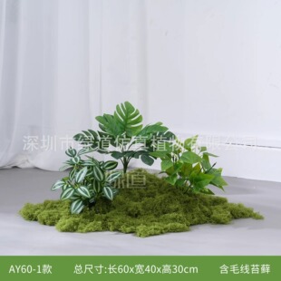 ��AY60ϵ�С�����Gֲ�쾰��ֲ���b����̈��T�ꙻ�����^�쾰