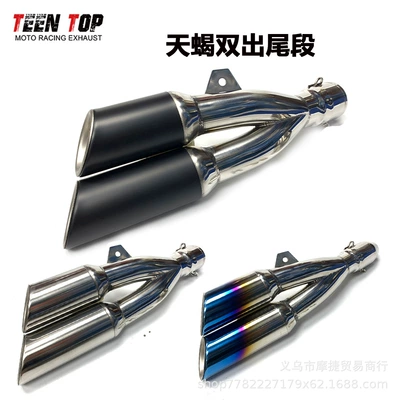 Outlet Scorpion Tail – Exhaust manifold