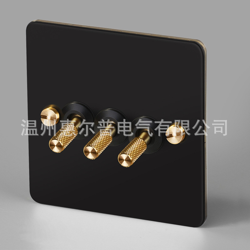 Mounted black retro switch key, light panel stainless steel