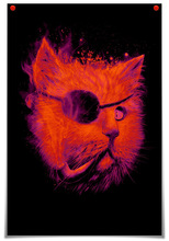 跨境货源 亚马逊 wish 幻想动物猫海报帆布画客厅的墙壁图片壁画